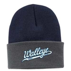 FWHC Navy/Gray Beanie