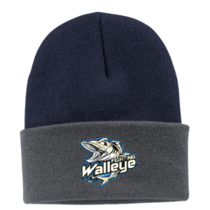 FWHC Navy/Gray Beanie