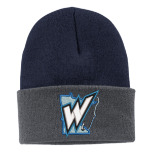 FWHC Navy/Gray Beanie